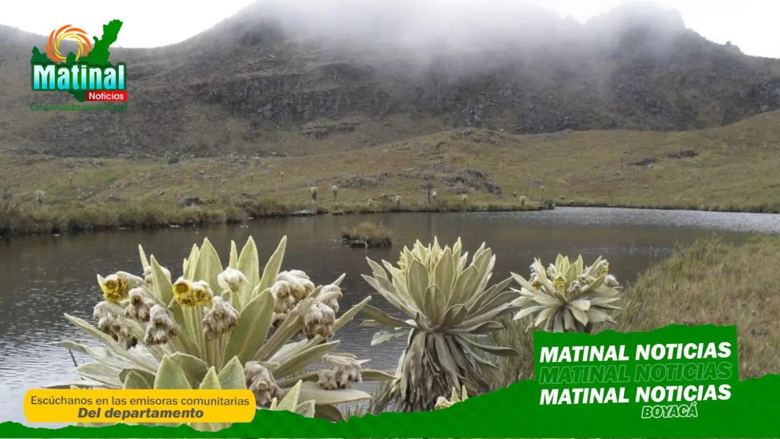 Tribunal Administrativo de Boyacá ordena medidas para recuperar ecosistemas afectados por incendios en el Páramo de Pisba y el Parque Nacional Natural El Cocuy
