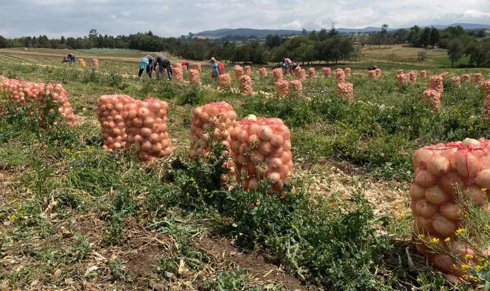 Acuerdo entre Dignidad Agropecuaria y Austria abre puerta a la exportación de productos de clima frío  