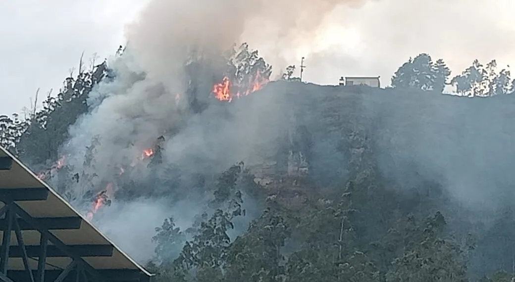 6 hectáreas de vegetación afectadas tras incendio en Jenesano