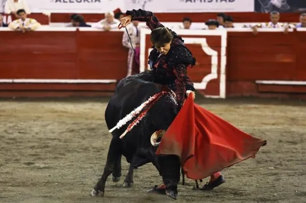 ¡Histórico! Congreso aprueba proyecto que prohíbe las corridas de toros el Colombia  