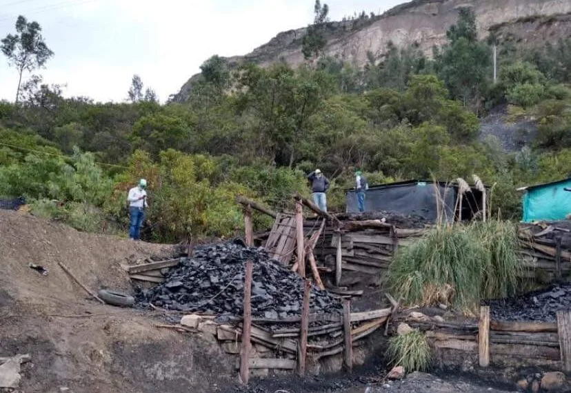 “El carbón es un combustible fundamental para la transición energética” Andeg a Petro