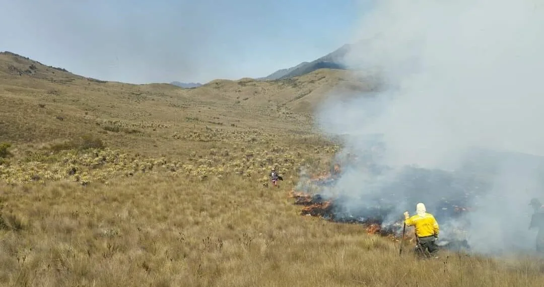 Emergencia en Boyacá, incendio forestal arrasa con vegetación del complejo Tota - Bijagual - Mamapacha