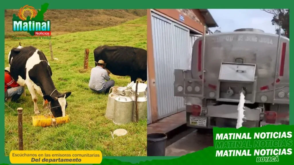 Millonarias perdidas en el gremio lechero por paro de transportadores
