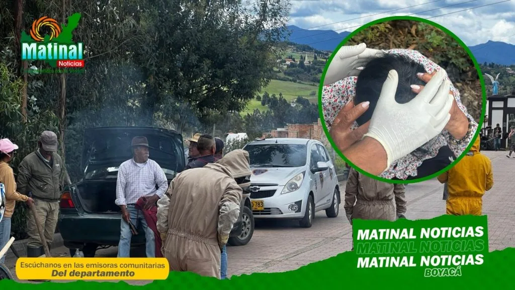 Seis personas resultaron heridas tras ataque de abejas en el cementerio de Oicatá