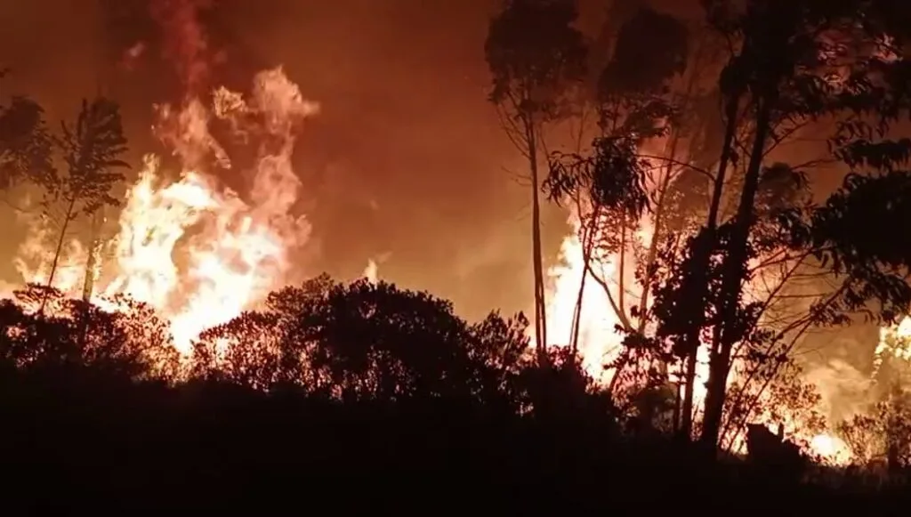 Atención: Bomberos de varias regiones de Boyacá se trasladarán a Corrales para apoyar contención de incendio forestal