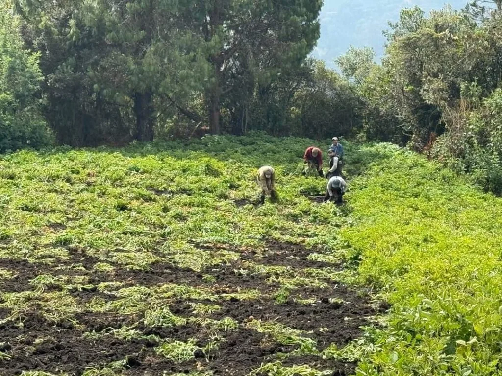 Atentos: Está abierta la séptima convocatoria al Fondo de Incentivo a la Capitalización (Finca)