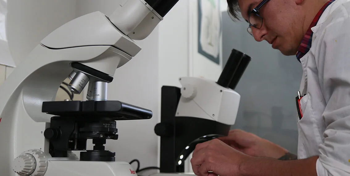 Uptc dentro de las diez universidades públicas del país con mayor visibilidad científica 2023