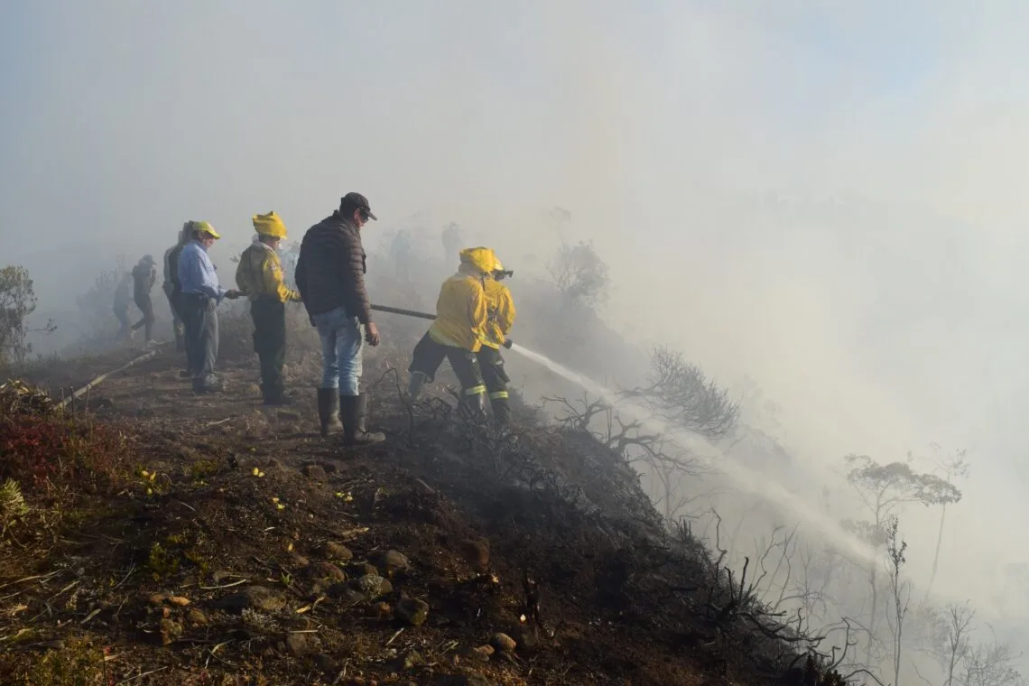 Organismos de emergencia batallan contra incendio forestal en Santa Rosa de Viterbo