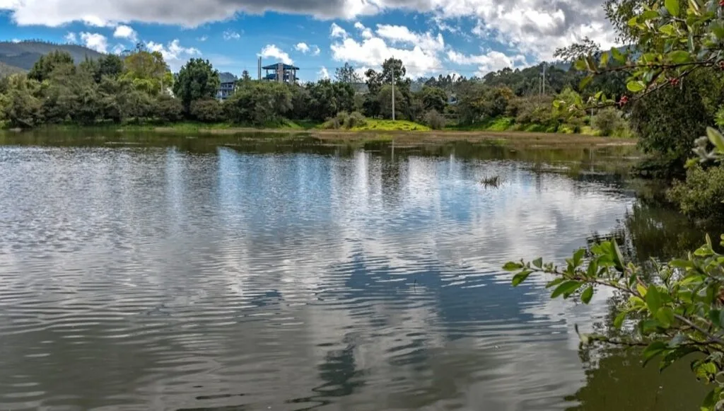 Grupo Ecopetrol tendrá cinco nuevas Ecoreservas, dos estarán en el departamento de  Boyacá 