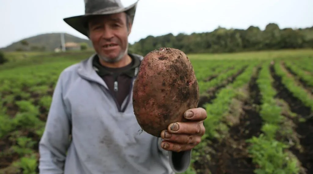 Postulaciones al Fondo Finca cierran el próximo lunes 27 de febrero
