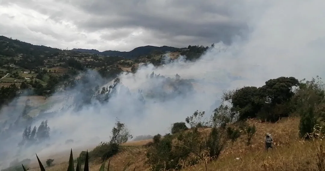 Autoridades investigan origen de incendio forestal en Ventaquemada