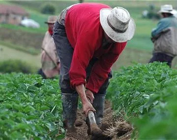 Es un hecho, campo y academia se unen en Boyacá para potencializar las actividades agropecuarias
