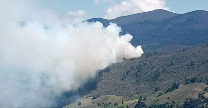 Incendios forestales tienen en alerta a Boyacá, más de 29 municipios han sido afectados