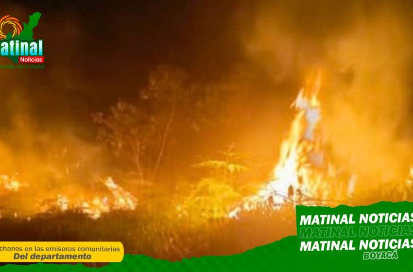  Incendio forestal en Gachantivá destruye una vivienda y afecta 5 hectáreas; bomberos logran controlarlo con ayuda comunitaria