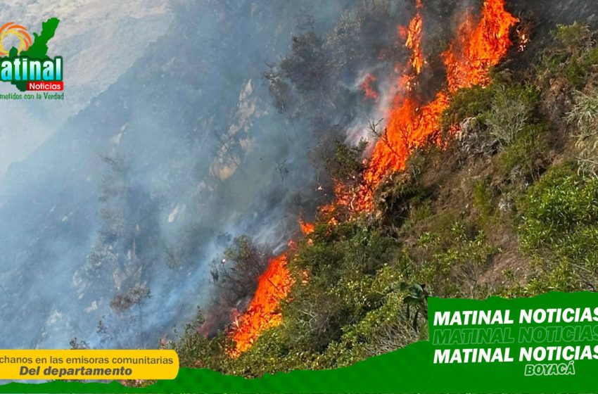  Bomberos mantienen control sobre incendio forestal en Guacamayas y advierten sobre riesgo por escasez de agua