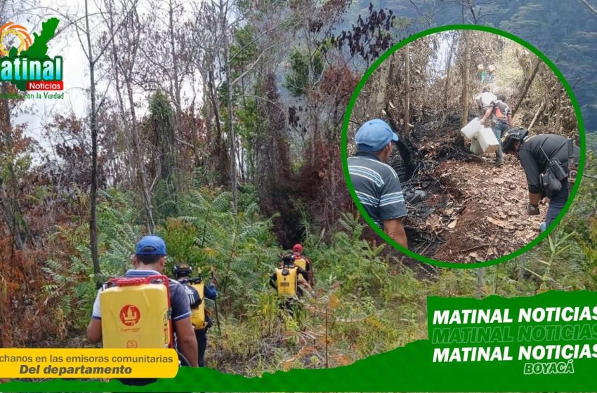  Incendio forestal fue controlado tras dos días de trabajo en San Pablo de Borbur